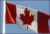 Sur l'image, c'est le drapeau du Canada.
