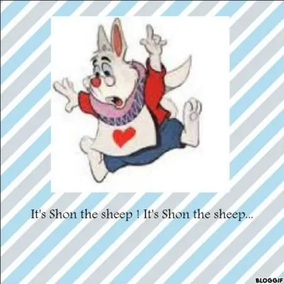 Quelle est l'espèce de Shon ?