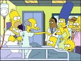 Qui a finalement tiré sur Mr. Burns ?