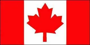 A quel pays correspond ce drapeau ?