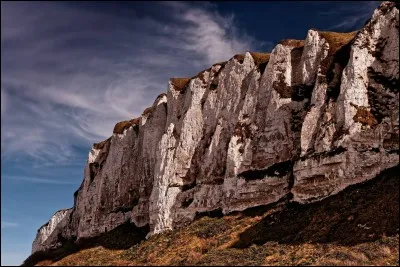 Les falaises de la côte d'Albâtre s'étendent sur plus de 140 kms, celles du Tréport sont les plus hautes falaises de craie d'Europe. Avez vous une idée de leur hauteur ?