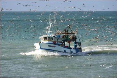 C'est un rendez-vous incontournable, dès le mois de novembre, les odeurs envahissent les quais le temps d'une fête gargantuesque. Mais de quoi s'agit-il précisément ?