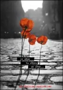 Qui chantait "Je chante pour les transistors le récit de l'étrange histoire de tes anamours transitoires" ?