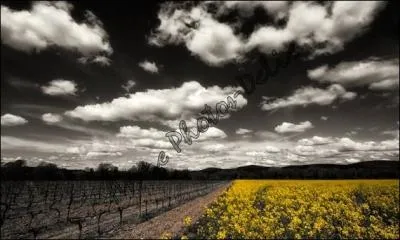 A qui sont les magnifiques paroles ..."quand le vent est au sud écoutez le chanter" :