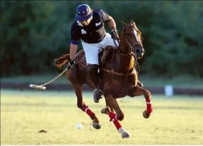 Combien y-a-t-il de joueurs dans une équipe de polo ?