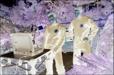 La personne qui est devant l'ordinateur, c'est Hodgins. Qui est la seconde personne ?