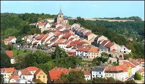 Nous partons à la découverte de la ville de Hombourg-Haut.Cette ancienne cité médiévale fortifiée de Lorraine se trouve dans le département ...