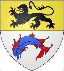 Je vous présente le blason d'une ville du Nord. Surnommée la cité de Jean Bart, elle est également connue pour son traditionnel carnaval. Je veux parler de la ville de ...