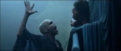 De quoi Voldemort a-t-il besoin pour renaître ?