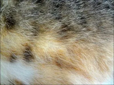 Allez, encore un effort ! Plus compliqué !