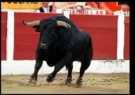 Comment s'appelle cet animal ?