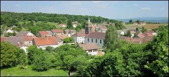 Voici une vue de la commune Doubienne de Fontaine-lès-Clerval. Elle se trouve en région ...