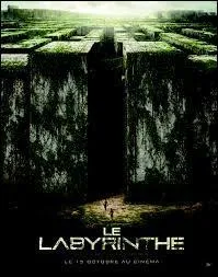 Qui a écrit le livre ?