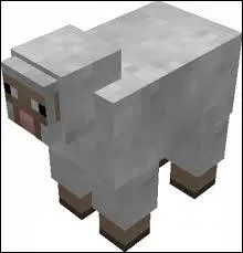 Quelle est cette chose ?