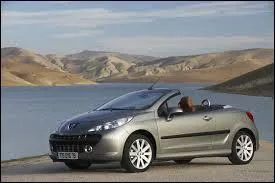 Quel est le nom de modèle ?