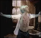 De quel sortilge Drago Malefoy a-t-il t victime ?