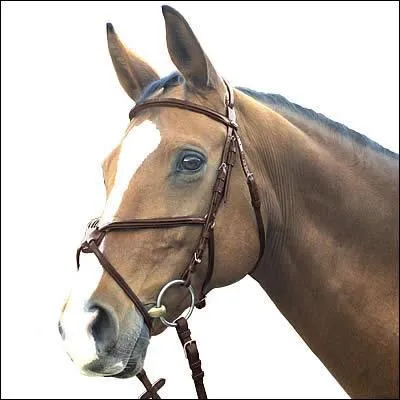 Quel est le nom de ce filet ?