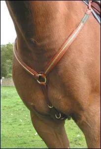 Quel est cet équipement ?