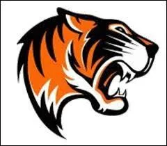 A Nancy, en Meurthe-et-Moselle, existe un club nommé "Les Tigres". Dans quelle discipline sportive originaire des Etats-Unis évoluent-ils ?