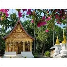 Dans quelle ville se trouve le temple de Wat Pa Phai ?