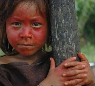 Les Wayanas, Apalaïs et Tekos sont menacés par l'orpaillage clandestin et illégal qui persiste depuis des décennies : la pollution des eaux aux mercure et hydrocarbures est létale pour leurs enfants. Mais rassurez-vous, ce n'est pas en France : mais où donc ?