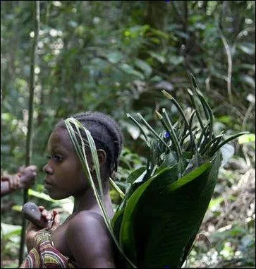 « Une ribambelle ... ... gesticulent, s'affairent comme des fourmis autour de l'avion qu'ils dépouillent de nos bagages et des vivres frais venant de Douala » : de quoi/qui parle le narrateur ?