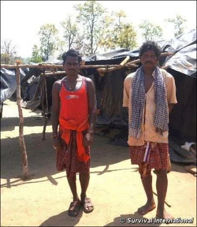 Grâce à WWF (World Wildlife Found), ces gens sont habillés, vivent maintenant sous de belles bâches plastiques toutes neuves en plein soleil ! Pourquoi ?