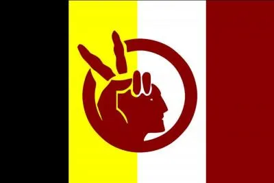 Diverses organisations (American Indian Movement, Survival et Amnesty International, OMS, etc.) s'accordent sur des points essentiels concernant la vie dans les « réserves ». L'espérance de vie y est de...