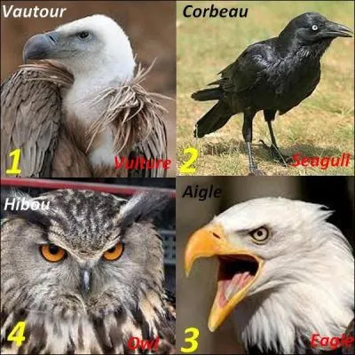 Quelle image n'a pas la bonne traduction ?