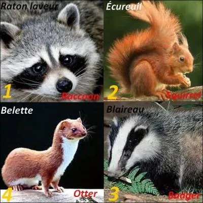 Quelle image n'a pas la bonne traduction ?