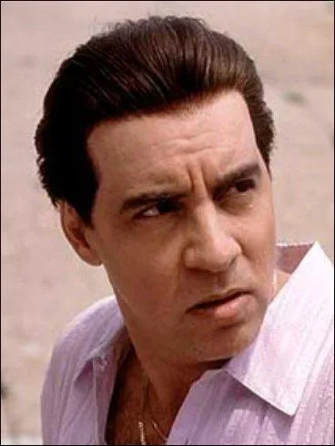 Niro (de), DeVItto, Pacino, Pesci... il y a beaucoup d'Italo-Américains jouant des rôles de mafieux, non ?