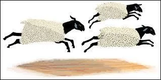 Que trouvent Ulysse et ses compagnons dans la grotte ?