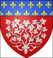 Voici le blason d'une ville de Picardie. Célèbre pour sa cathédrale Notre-Dame, elle est surnommée la "petite Venise du Nord". Connue également pour ses hortillonnages, c'est la ville ...