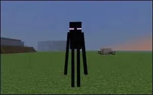 Et celle-ci, comment l'appelle-t-on ?