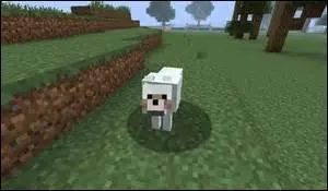 Que voit-on sur celle-ci ?