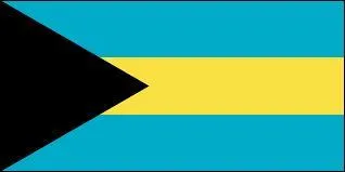 On croit connaître le drapeau mais tout peut basculer à un détail près. Visualisez bien les couleurs et les détails et proposez votre réponse.