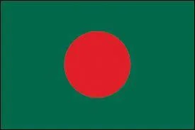 Ah, un rond sur un drapeau nous paraît courant. On en a plusieurs en tête de ce type mais lequel est vraiment le bon ?