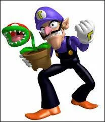 Ce personnage est-il jouable ?