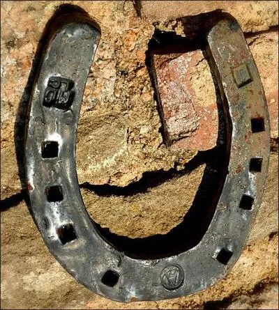 De quoi s'agit-il sur cette photo ?