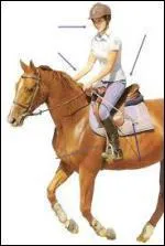 Qu'utilisons-nous pour faire avancer le cheval ?