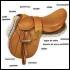 Quiz Galop 1
