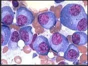 Combien notre corps possède-t-il de cellules au total, partout dans le corps ?