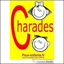 Mon premier est un oiseau, mon second est d'enfant s'il est facile, et mon tout est ...