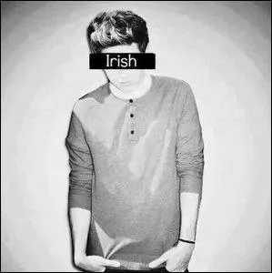 Qui est l'Irlandais du groupe ?