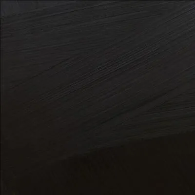 Quel artiste réputé pour ces toiles noires a peint ce monochrome ?