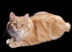 Quelle est celle-ci ?