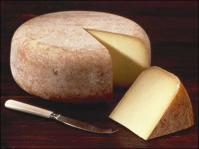 Originaire d'Aquitaine, ce fromage est fabriqué à partir de lait de brebis. Qu'est-ce ?