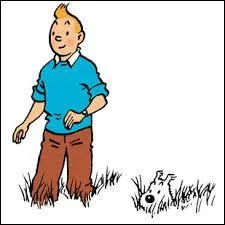 Quel est le nom du chien de Tintin ?