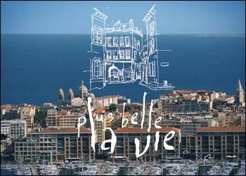 En quelle année a débuté la série "Plus belle la vie" ?