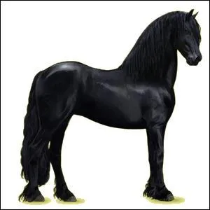 Quelle est sa race ?